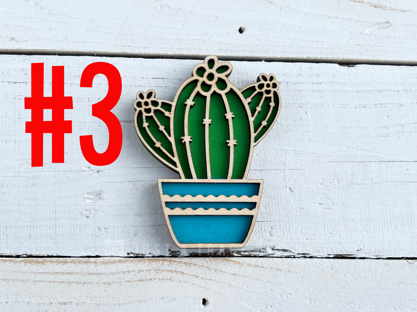 Wooden Cactus Refrigerator Southwestern Magnets - Succulent Magnets - Your Choice of Cactus - Kitchen Decor - Magnet Board - Eco Friendly Gift