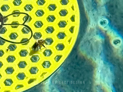 Floating Bee Watering Station, Pollinator Water Source, Garden Pool Bee Bath, Large and Small